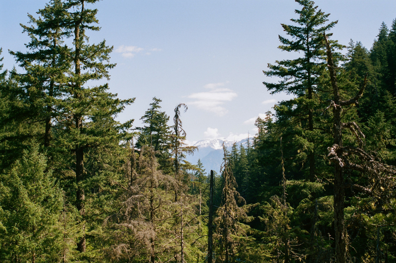 Illustration for article titled First roll of Portra 400